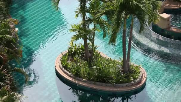 Thailand. zwembad in het hotel — Stockvideo