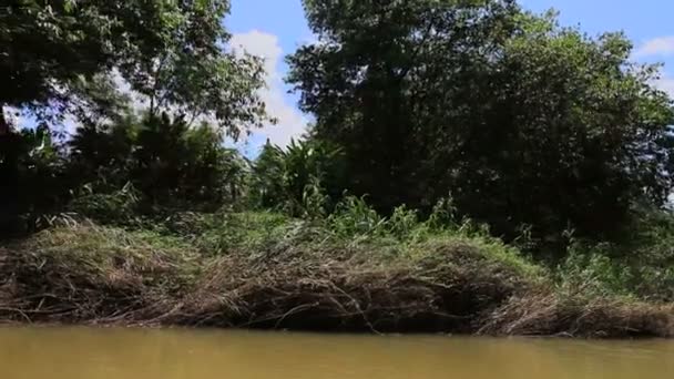 Tailandia. rafting fluvial — Vídeo de stock