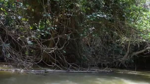 Tailândia. rafting fluvial — Vídeo de Stock