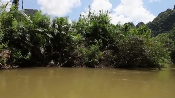 Tailândia. rafting fluvial — Vídeo de Stock