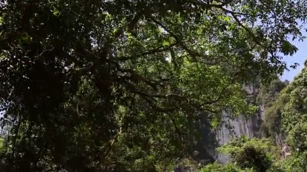 Tailândia. rafting fluvial — Vídeo de Stock