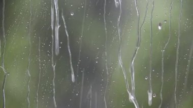 Tayland. tropikal yağmur