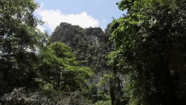 Tayland. Nehri rafting — Stok video