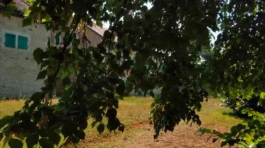 Fransa. Prevessin-Moens - 3 Ağustos 2018. Yaz. Parktaki eski bina.