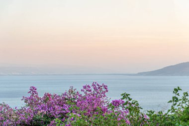 Gün batımında bir dağ gölünün kıyısındaki bougainvillea manzarası