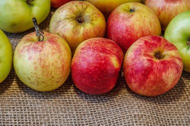 olgun sulu kırmızı ve yeşil elmalar kişisel bir bahçede yetişir çuval bezi üzerinde