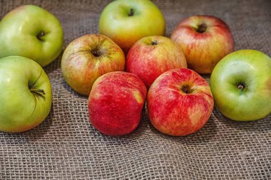 olgun sulu kırmızı ve yeşil elmalar kişisel bir bahçede yetişir çuval bezi üzerinde