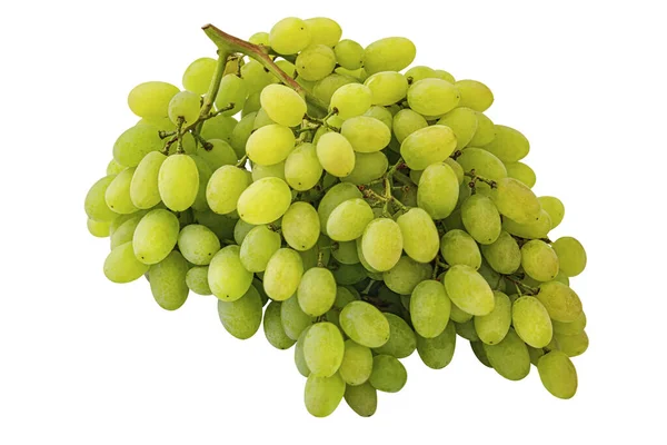 Cacho Doces Suculentas Uvas Verdes Isoladas Branco — Fotografia de Stock