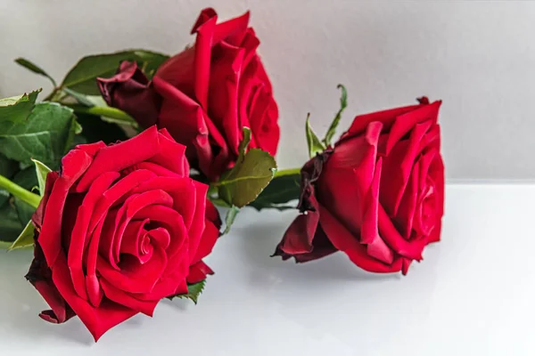 Rote Rosen Auf Einem Hellen Glastisch Aus Nächster Nähe — Stockfoto