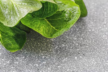 Gri plastik bir yüzey üzerinde çıtır çıtır 