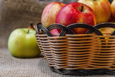 olgun sulu kırmızı ve yeşil elmalar kişisel bir bahçede yetişiyor çuval bezi üzerinde bir sepetin içinde