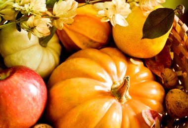 bal kabağı ile sonbahar kompozisyon