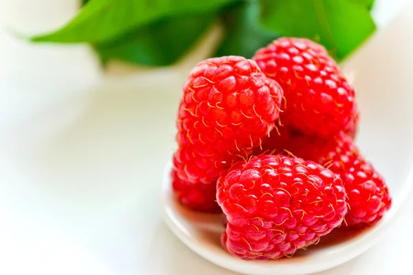 Raspberry traktatie — Stockfoto