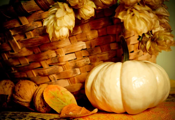 Autumn composition with pumpkin — Stock Photo, Image