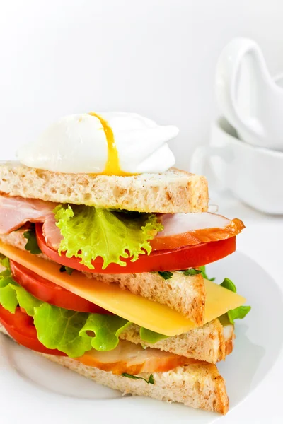 Leckeres Fleisch-Sandwich mit Gemüse — Stockfoto