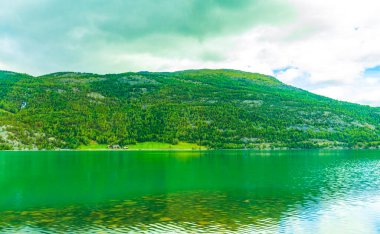 Turkuaz eriyen su, Norveç 'in dağları ve ormanları arasında bir nehirde akar..