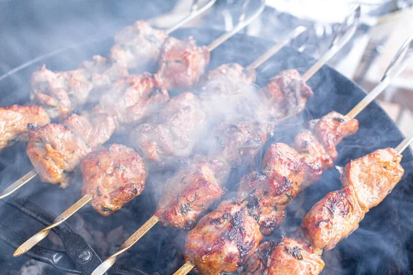 Norveç 'te şiş ızgaralı bir Rus şişi..