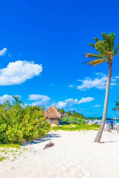 Trópusi Természetes Mexikói Strand Pálmafa Kunyhó Playa Del Carmen Mexikó — Stock Fotó