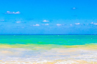Playa del Carmen Mexico 'da berrak turkuaz mavi suyu olan tropik Meksika sahili manzarası..