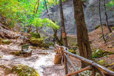 Yunanistan 'da Rodos' taki Kelebek Vadisi Parkı 'nın güzel doğasında Tahta yürüyüş yolu ve rotası.