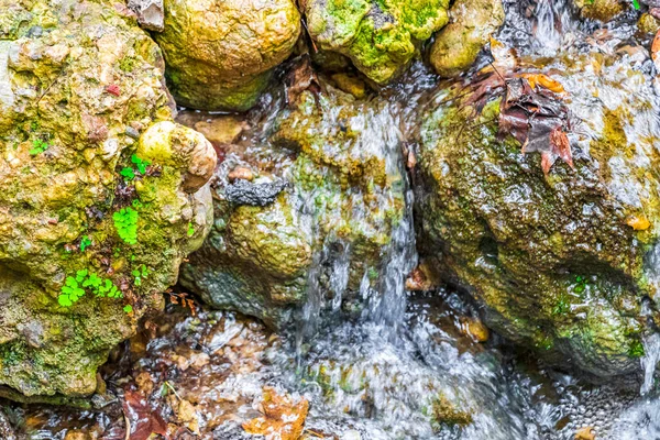 Cachoeiras Água Rio Flutuante Pelo Caminho Caminho Trekking Rota Bela — Fotografia de Stock