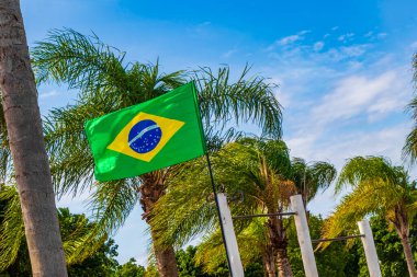 Brezilya bayrağı rüzgarda dalgalanırken palmiye ağaçları ve mavi gökyüzü Rio de Janeiro Brezilya 'da yeşil ve sarı renklerde.