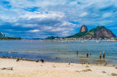 Kuşlar ve kirlilikle Botafogo Sahili ve şekerli somun şeker dağı Pao de Acucar Panorama Dağı ve Rio de Janeiro Brezilya 'daki Urca köyünün manzarası.