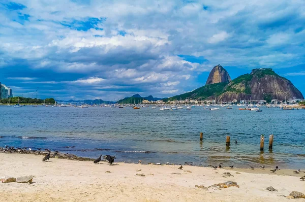 Botafogo Stranden Med Fåglar Och Föroreningar Och Sugarloaf Socker Limpa — Stockfoto