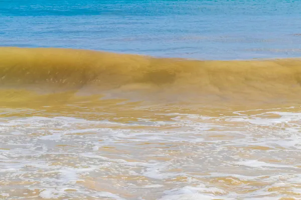 墨西哥普莱亚德尔卡门的墨西哥湾热带海滩 海浪汹涌 蓝绿色海水清澈清澈 — 图库照片