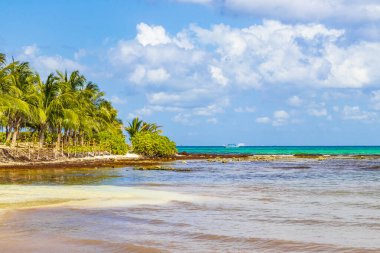 Playa del Carmen Meksika 'daki Punta Esmeralda' dan tropik Meksika plajı ve panorama manzarası.