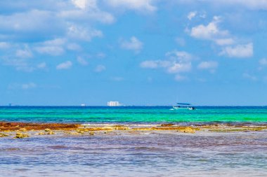 Cozumel Adası ile Playa 88 'den tropikal Meksika plaj manzarası ve Playa del Carmen Meksika' dan Punta Esmeralda arasındaki tekne ve yatlar..