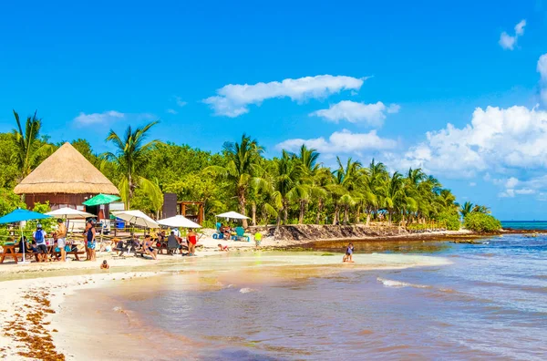 Playa Del Carmen México Mayo 2021 Vista Panorámica Playa Tropical — Foto de Stock