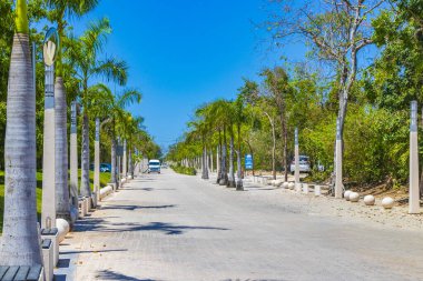 Playa del Carmen Meksika 28 numara. Mayıs 2021 Tropikal Meksika plajına giriş ve Playa del Carmen Meksika 'daki Punta Esmeralda' yı Cenote etmek.
