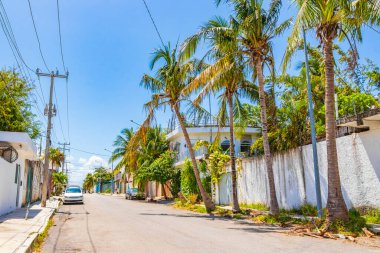 Playa del Carmen Meksika 28 numara. Mayıs 2021 Tipik sokak yolu ve şehir manzarası Luis Donaldo Colosio Playa del Carmen 'in Meksika' daki araba ve palmiye ağaçları binaları.