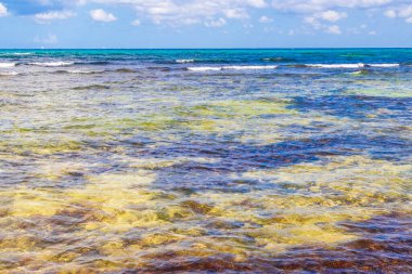 Playa del Carmen Meksika 'daki Punta Esmeralda' dan tropik Meksika plajı ve panorama manzarası.