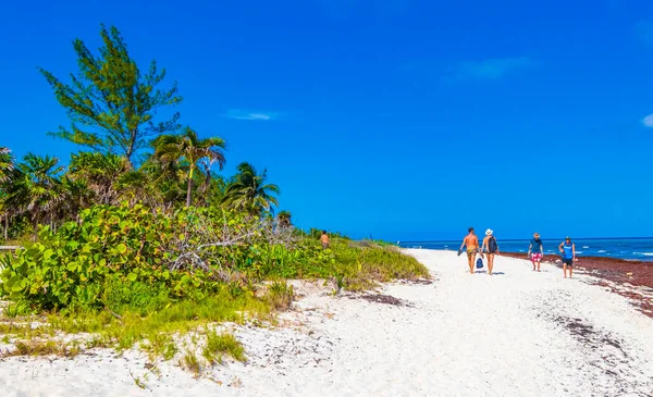 Playa Del Carmen Mai 2021 Tropischer Mexikanischer Strand Und Cenote — Stockfoto