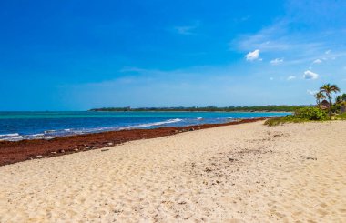 Playa del Carmen Meksika 'daki Punta Esmeralda' dan tropik Meksika plajı ve panorama manzarası.