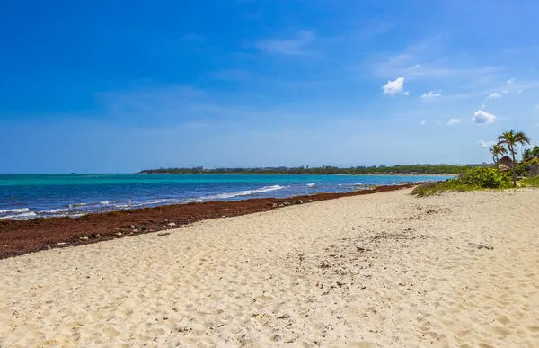 Тропический Мексиканский Пляж Панорамный Вид Пунта Эсмеральда Плайя Дель Кармен — стоковое фото