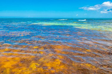 Playa del Carmen Mexico 'daki Punta Esmeralda' dan tropik Meksika plajı ve renkli su manzarası.