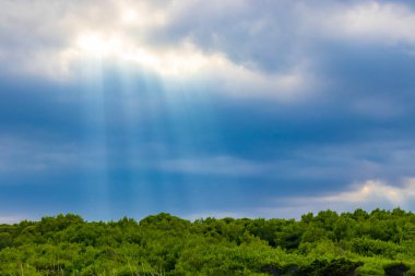 İspanya 'nın Balear Adası Mallorca' daki Can Picafort 'taki sert doğal kıyı manzarasında gökyüzünden gelen güneş ışınları.
