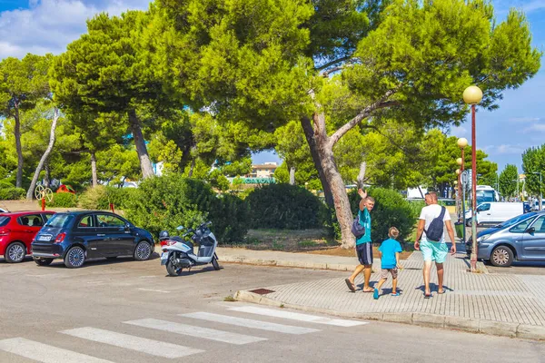 Mallorca Spanya Eylül 2018 Palmiye Ağaçlı Tipik Sokak Yolu Spanya — Stok fotoğraf