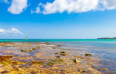Playa del Carmen Mexico 'daki Punta Esmeralda' dan tropik Meksika plajı ve renkli su manzarası.