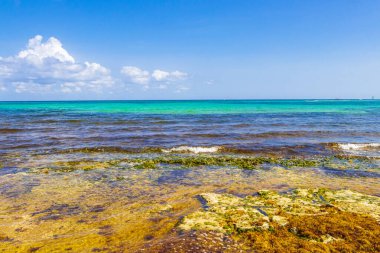 Playa del Carmen Mexico 'daki Punta Esmeralda' dan tropik Meksika plajı ve renkli su manzarası.
