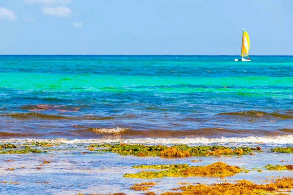 Тропический Мексиканский Пляж Красочный Вид Море Пунта Эсмеральда Плайя Дель — стоковое фото