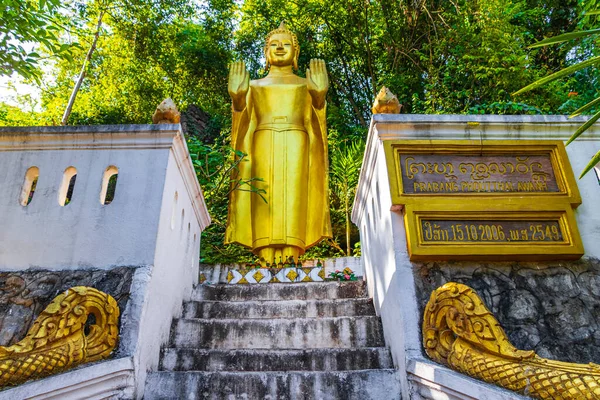 Statues Bouddha Doré Figure Sur Montagne Phousi Hill Wat Chom — Photo
