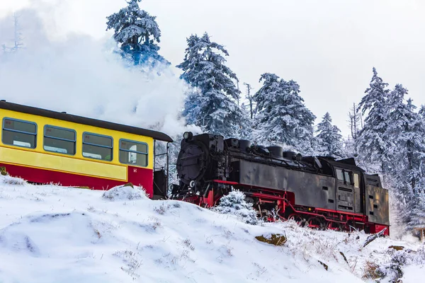 Dampfende Brockenbahn Lokomotive Der Winterlandschaft Brocken Harz Wernigerode Sachsen Anhalt — Stockfoto