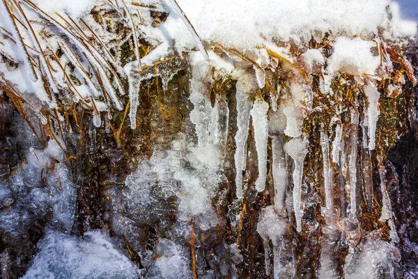 Замороженные Сосульки Реке Лесном Ландшафте Горе Броккен Горах Гарц Вернигероде — стоковое фото