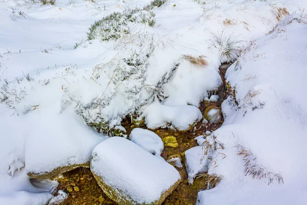 Innevato Nel Fiume Vapore Ghiacciato Paesaggio Brocken Montagna Harz Montagne — Foto Stock