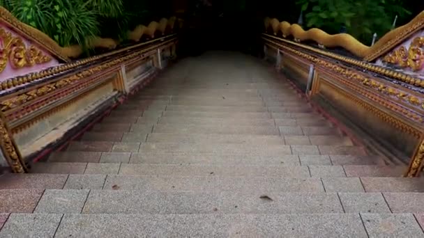 泰国Koh Samui的Jaidee Chedi Sila Ngu Wat Sila Ngu寺庙 楼梯上有蛇 — 图库视频影像