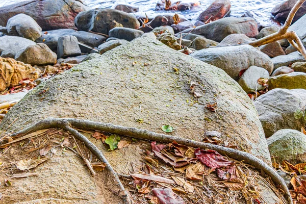 Величезний Камінь Валуни Прекрасній Береговій Лінії Ландшафтній Панорамі Парку Lam — стокове фото